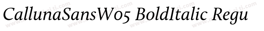 CallunaSansW05 BoldItalic Regular字体转换